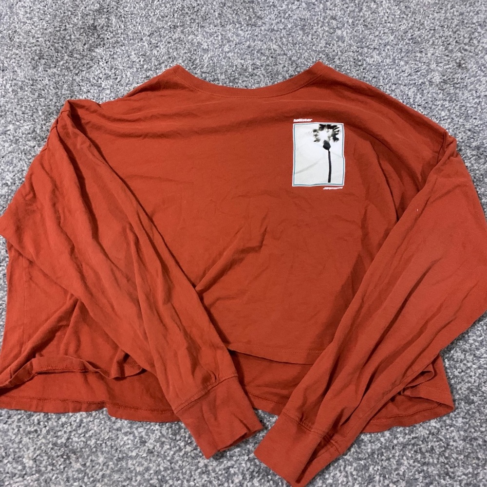 Long Sleeve Hollister Crop Top